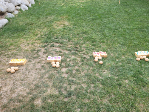 Kingdom Lawn Wars Lawn Game