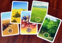 Terrain-Cards KingdomBuilder board game card